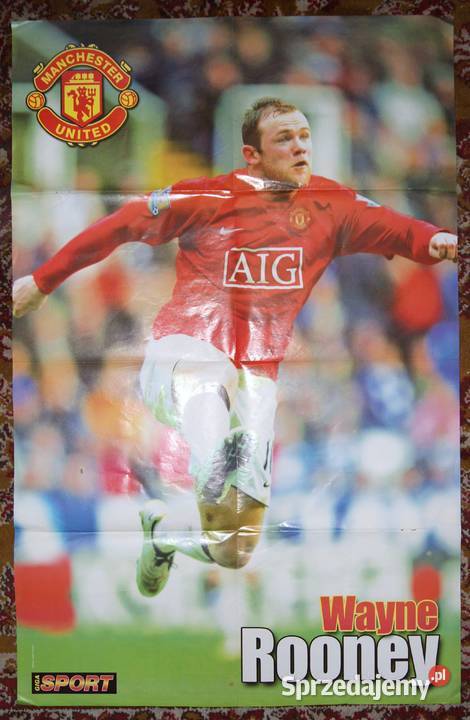 Plakatfototapeta Reprezentacja PolskiWayne Rok wydania 2008 sprzedam