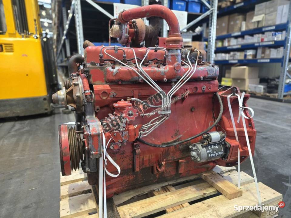 Silnik Case Internacional 1255XL DT358 Byków sprzedam