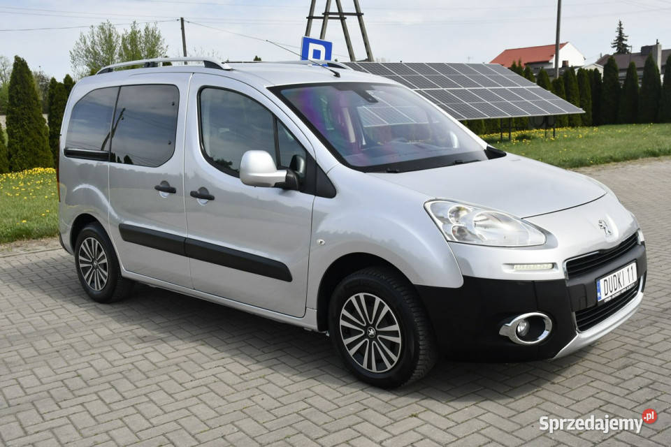 Peugeot Partner 16ehdi DUDKI11 5 komputer pokładowy Kutno
