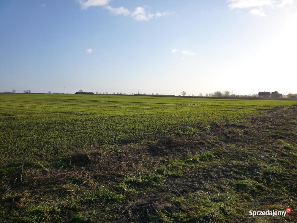 Kunowo działka jeziora Miedwie prąd Kunowo sprzedam