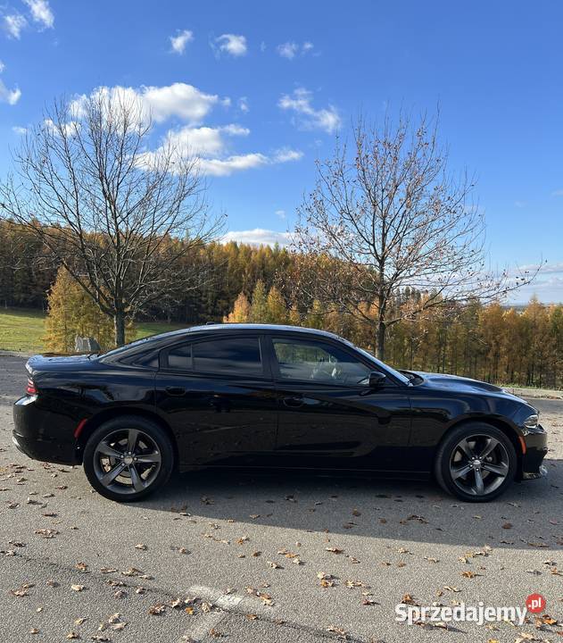 Dodge Charger 57 2019 RT V8 370