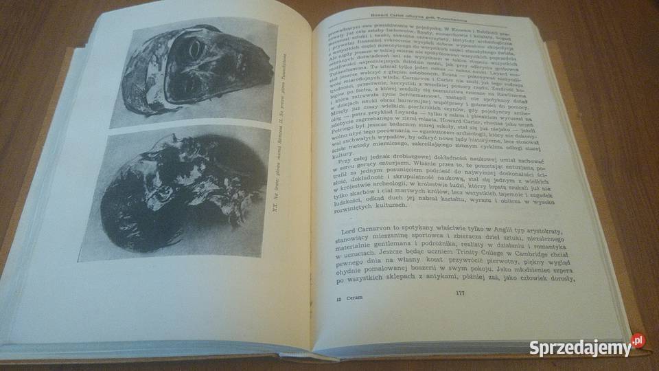Bogowie groby i uczeni powieść o archeologii C W Gdańsk