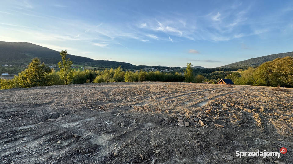 Działka Sprzedaż Kasina Wielka Polska 3900m2