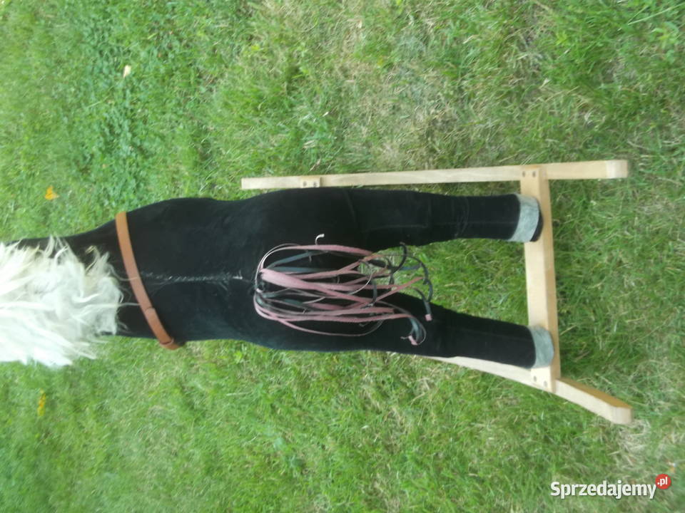 Konik na biegunach PRL Wrocław