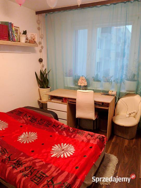 Wynajmę 3 pokojowe mieszkanie