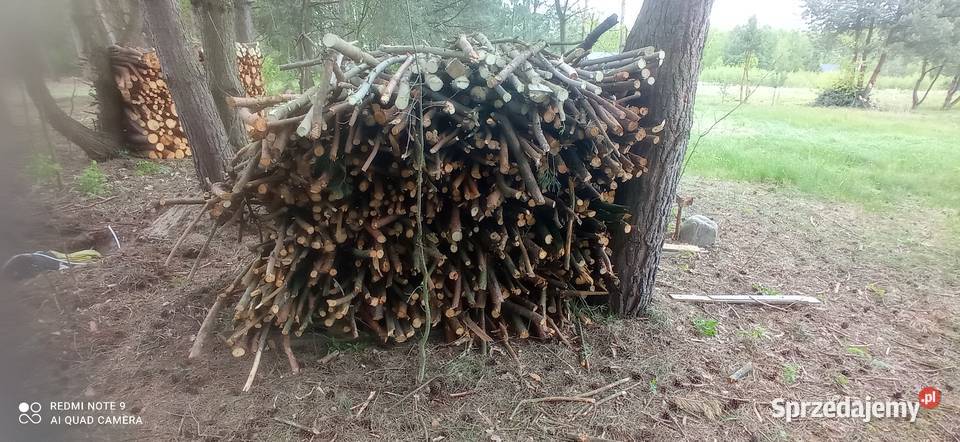 Drewno sosnowe sprzedam