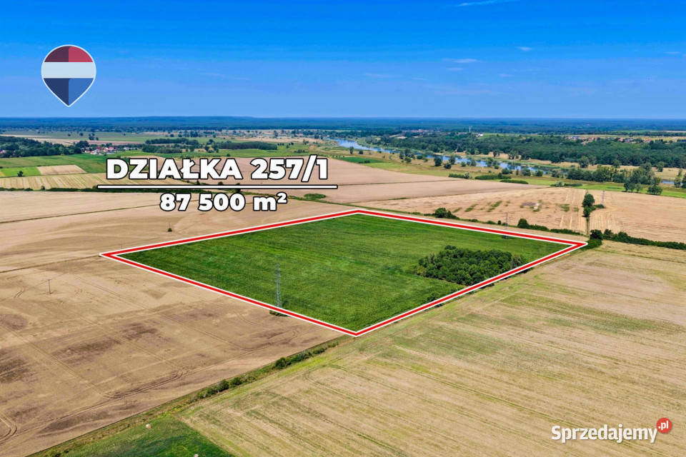 Na sprzedaż grunty orne RIIIa 875 ha rolna