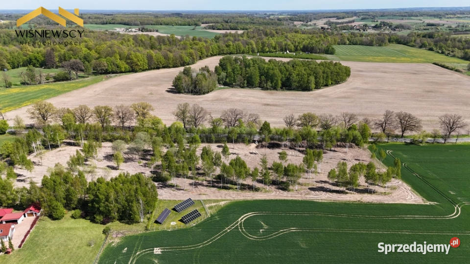 Działka 5306 m Dawidy asfalt