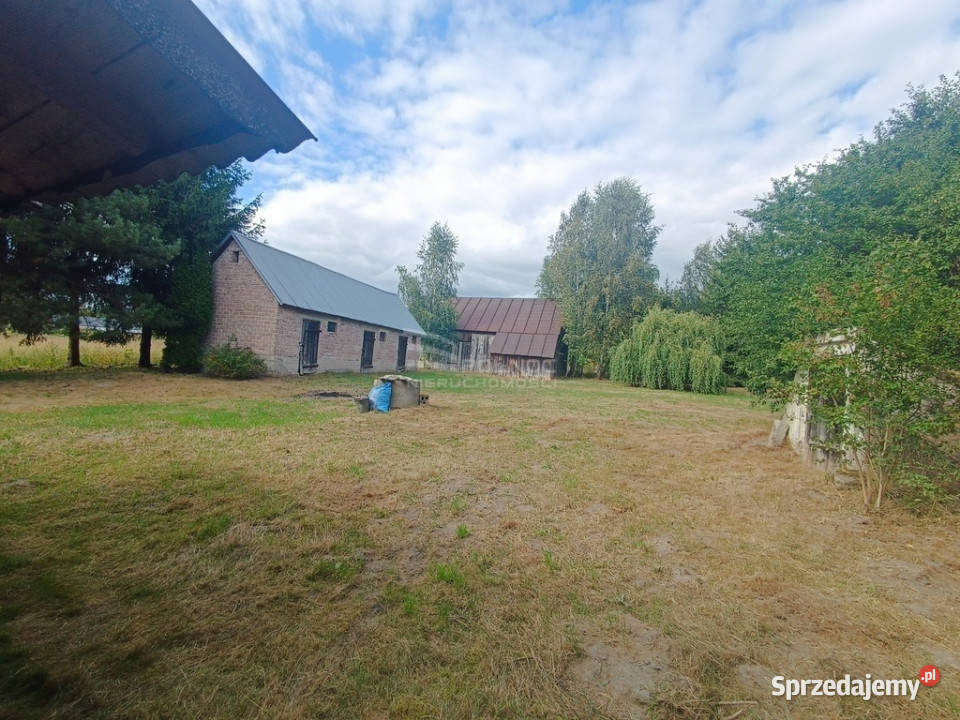 Dom z działka z potencjałem w Dobryniu Dużym asfalt