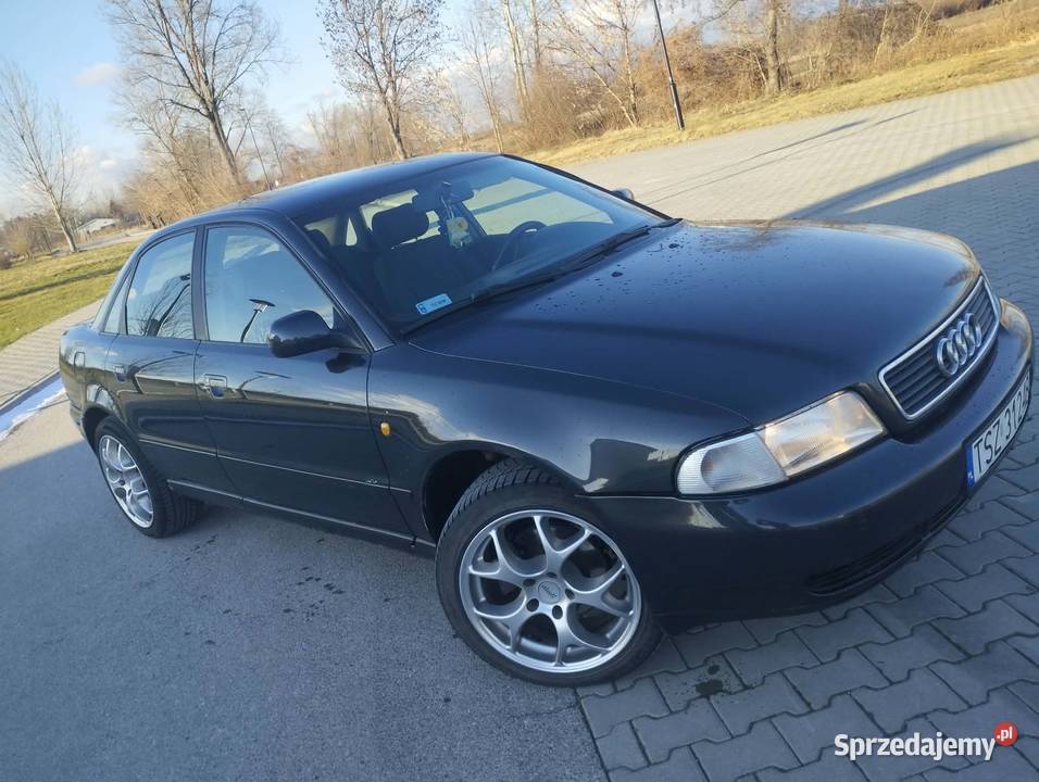 Audi A4b5 19 TDI 90 nieuszkodzony Audi Złota sprzedam