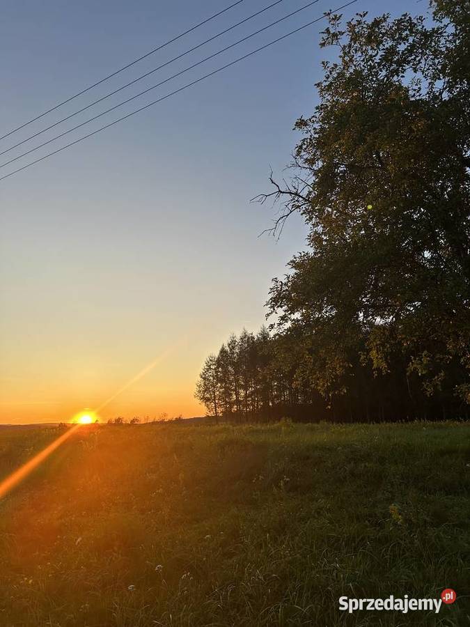 Na sprzedaż działki budowlane prąd Wola Krzywiecka
