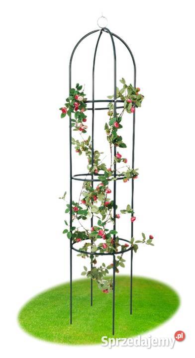 Pergola ogrodowa kolumnowa metalowa na róże Poznań
