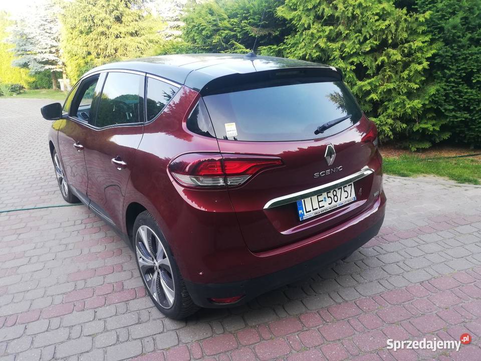 Scenie 4 15 hybryd lubelskie