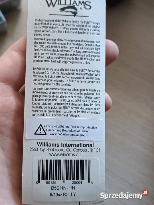 Wabler bully Wrocław