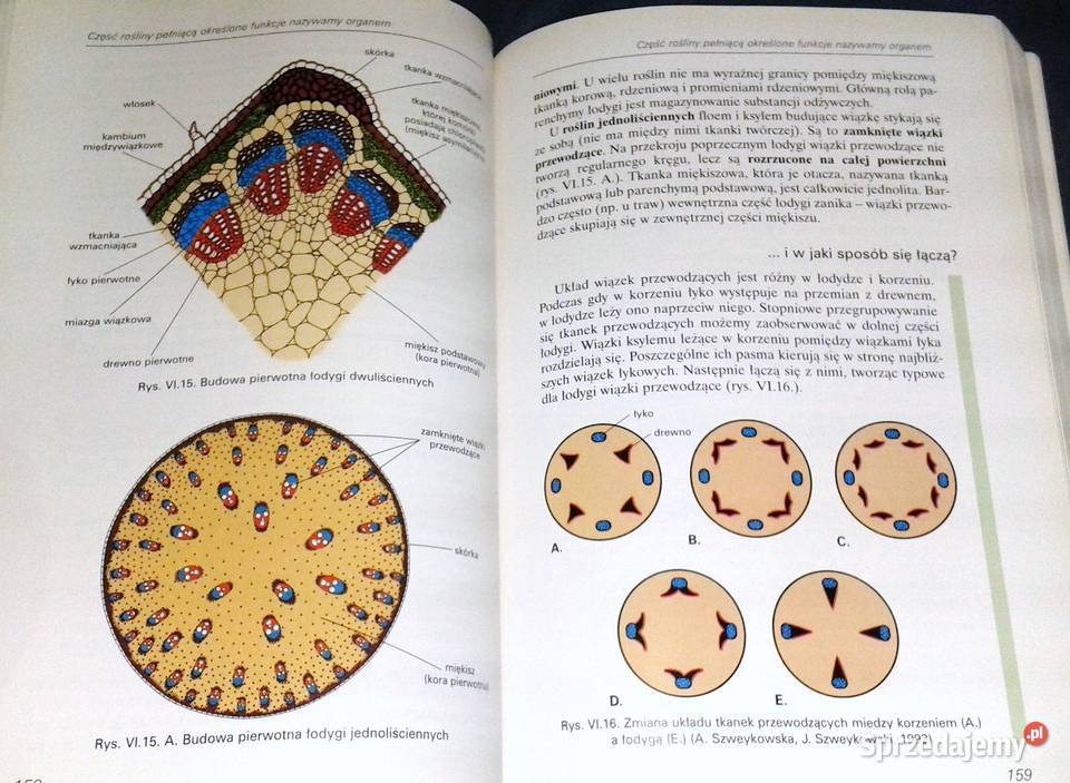 Botanika i biologia komórki Andrzej Batko i inni Chełm