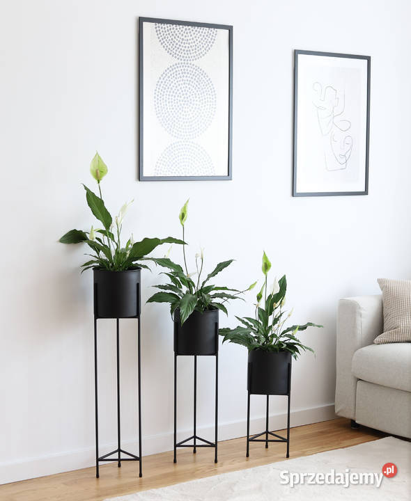 Kwietnik Metalowy Stojak na kwiaty z donicą 70 Kwietniki Sobienie-Jeziory