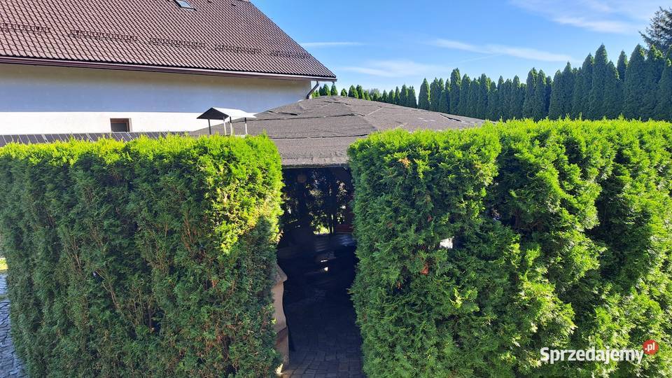 Wiata Altana ogrodowa kompletnaZ meblami tujami Altany i wiaty Zabrze