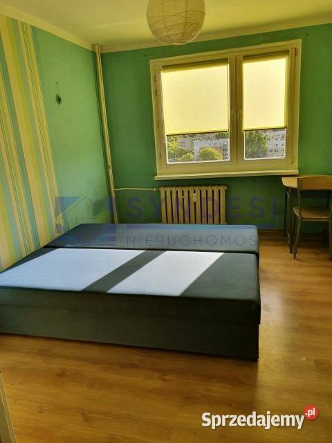 wynajmu mieszkania 52m2 2 pok Częstochowa śląskie