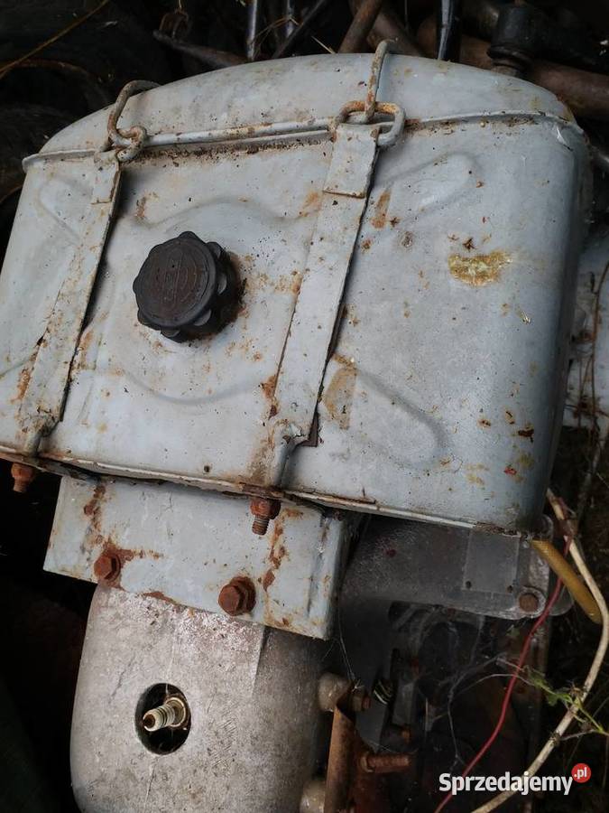 Dzik 221Ursus C 308 itpZdrowy zbiornik paliwa nieuszkodzony Części zamienne lubuskie Gorzów Wielkopolski