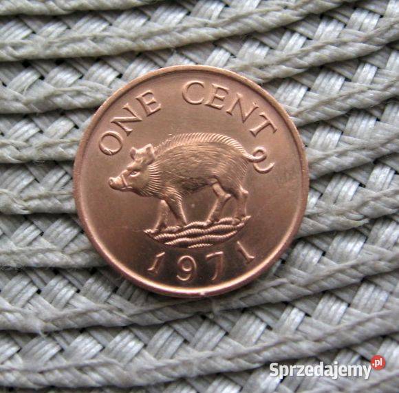 Bermudy 1 Cent 1971r Ładna Kalisz