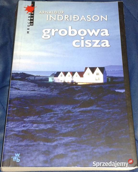 Grobowa cisza Arnaldur Indridason Chełm