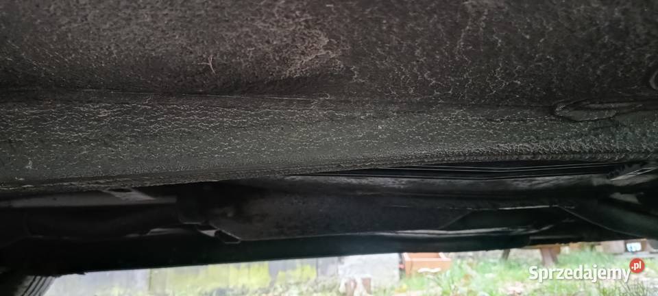 Do sprzedania czarna strzała Olszanica