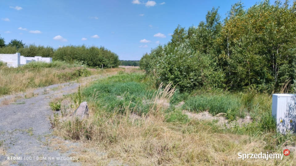 działka 01ha idealny offgridwakacjeemerytura Nowogród Bobrzański sprzedam