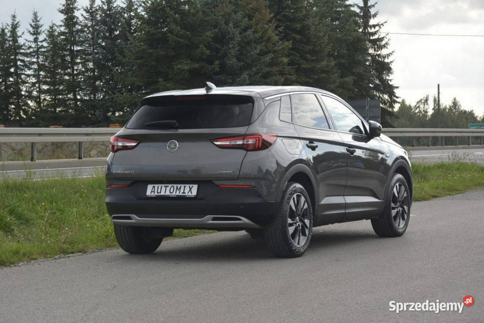 Opel Grandland X 15 D nawi Asist Park Android centralny zamek Sędziszów Małopolski