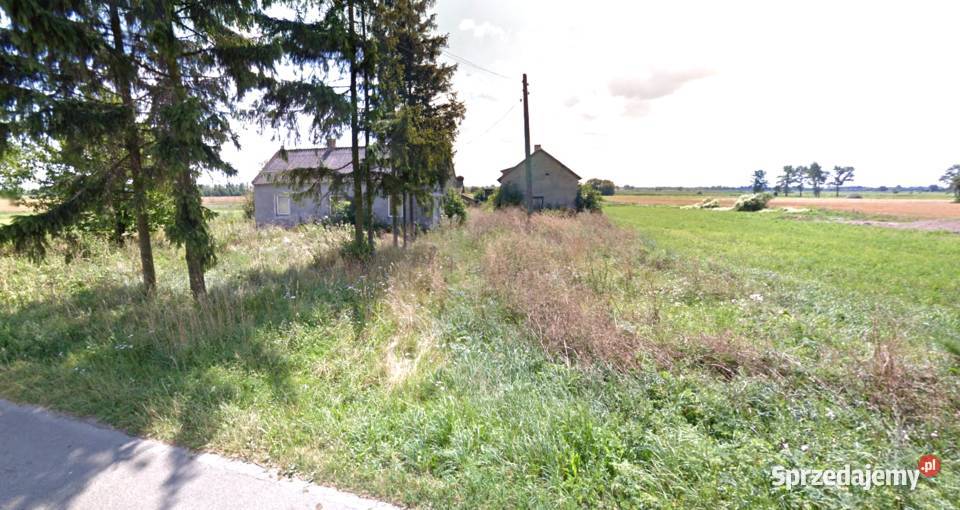 Sprzedam dom z budynkami w Krzewie gm Dąbie na Krzewo