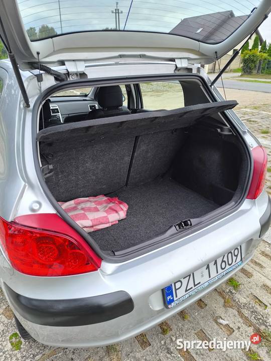 Peugeot 307 Lift Klima 16 2007 Benzyna 5 drzwi w Hatchback Złotów
