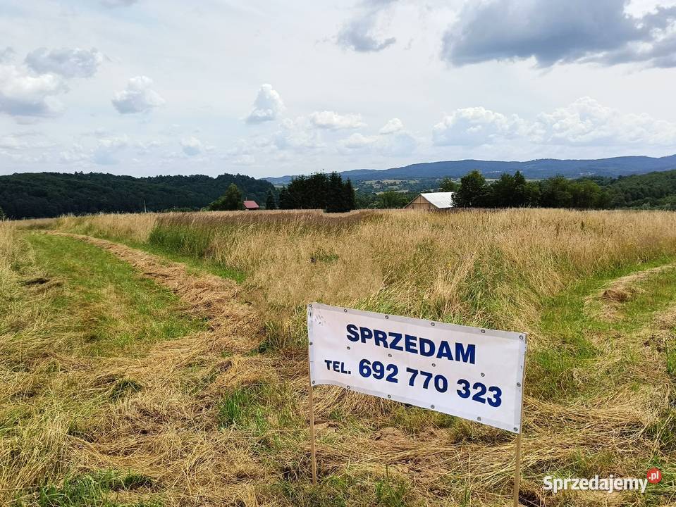 Działka budowlano inwestycyjna w Ryglicach