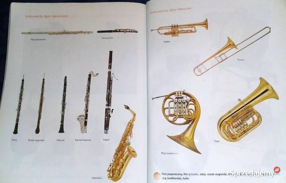 Muzyka Gra muzyka Jan Oleszkowicz Chełm sprzedam