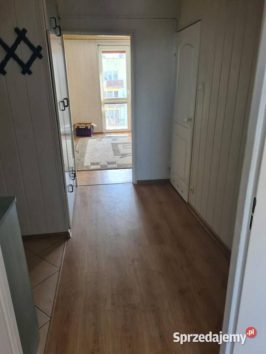 Mieszkanie 4630 m Ostrowiec świętokrzyski Liczba pokoi 2 Ostrowiec Świętokrzyski