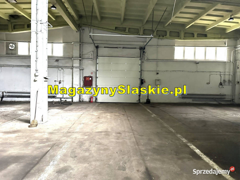 Hala produkcyjna do wynajęcia śląskie Zabrze DTŚ parking sprzedam