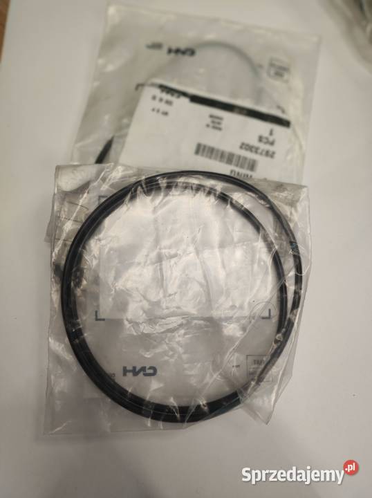 2973302 Oring Holland Case Września sprzedam