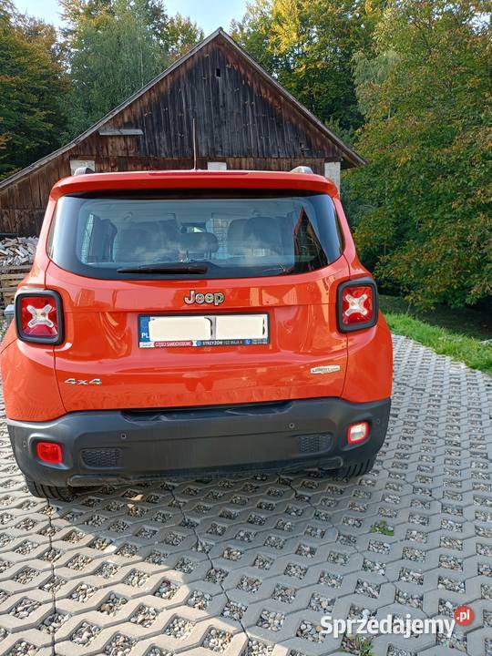 Sprzedam auto poduszka powietrzna Renegade