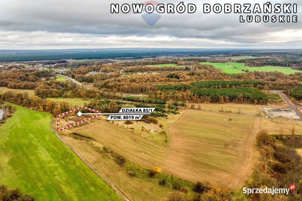 Na sprzedaż działka rolna z dużym potencjałem 0m Sprzedaż Nowogród Bobrzański