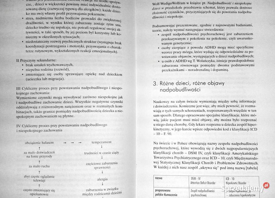 Program pracy z dzieckiem z objawami ADHD Anna lubelskie Chełm