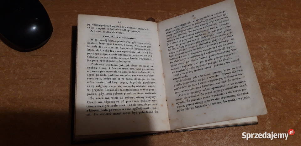 Człowiek Jakim JestI Co Wynajduje BERNSTEIN Antykwariat Iwno