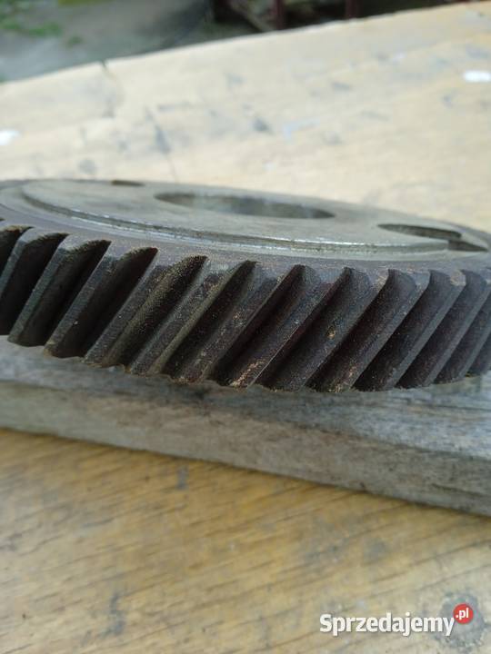 Koło zębate wałka rozrządu S21