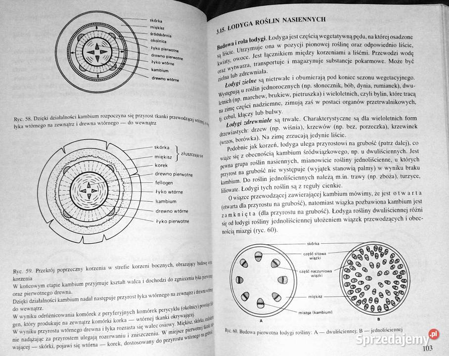 Biologia Vademecum maturzysty Ewa PyłkaGutowska Chełm