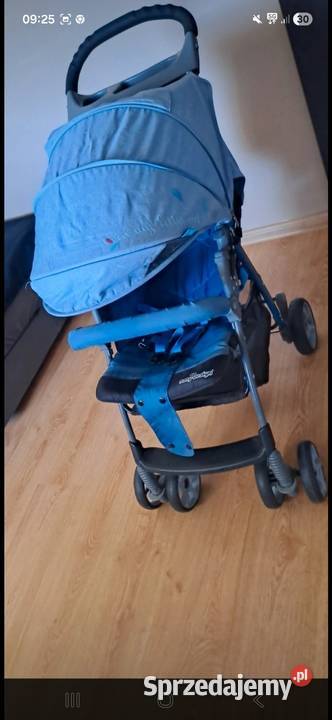 Wózek spacerowy wielkopolskie Turek