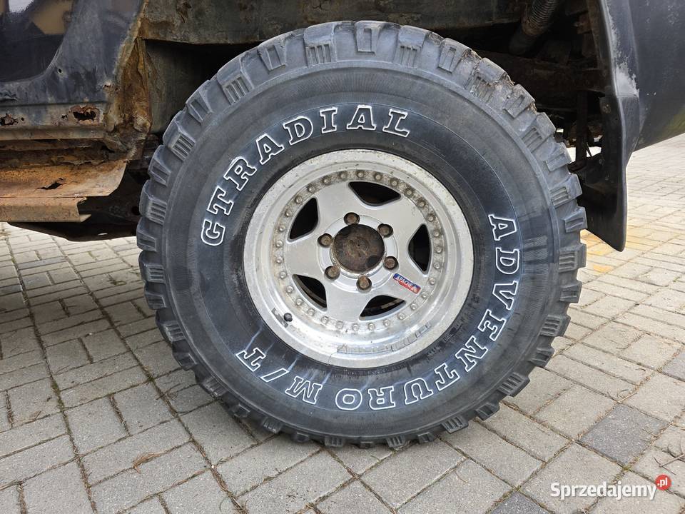 Ssangyong Korrando Leśniewo