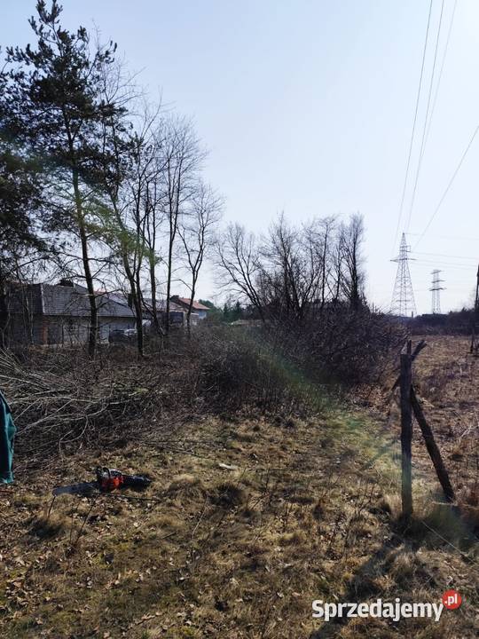 Działka budowlana i usługowa Michałów Reginów woda Legionowo