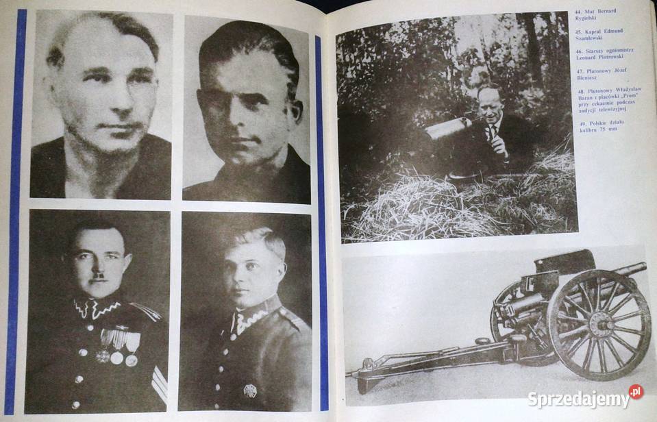 Bastion u wrót Gdańska Maria Flisowska Zbigniew