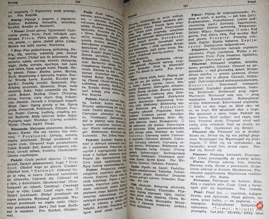 Słownik wyrazów bliskoznacznych Stanisław