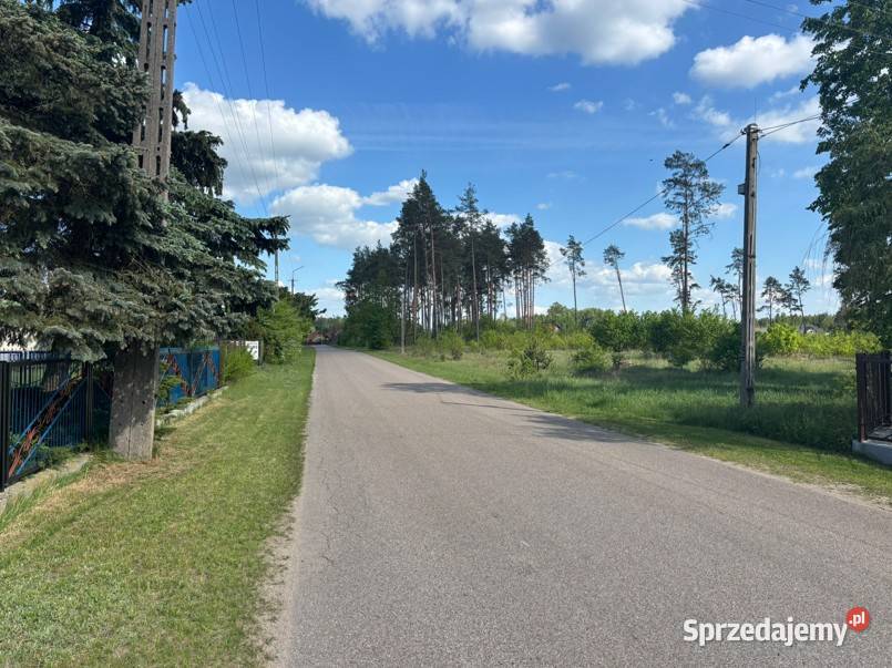 Siedlisko z dużym domem i zabudowaniami Błędnica taras