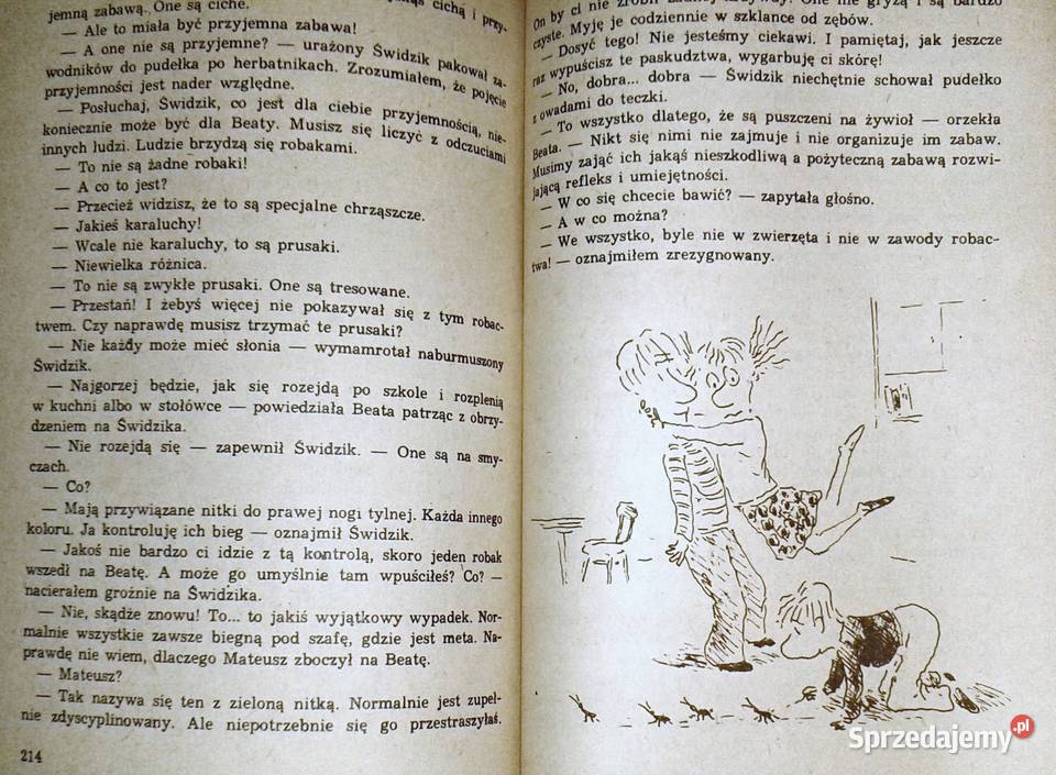 Szkolny lud Okulla i ja Edmund Niziurski miękka Chełm sprzedam