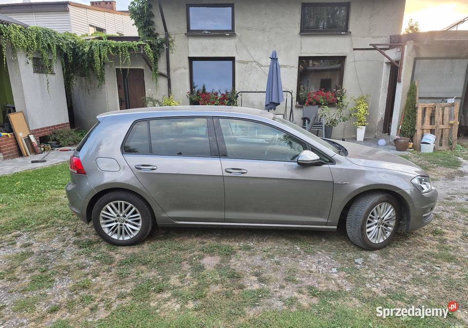 VW Golf VII 12 TSI Wersja Limitowana Cup