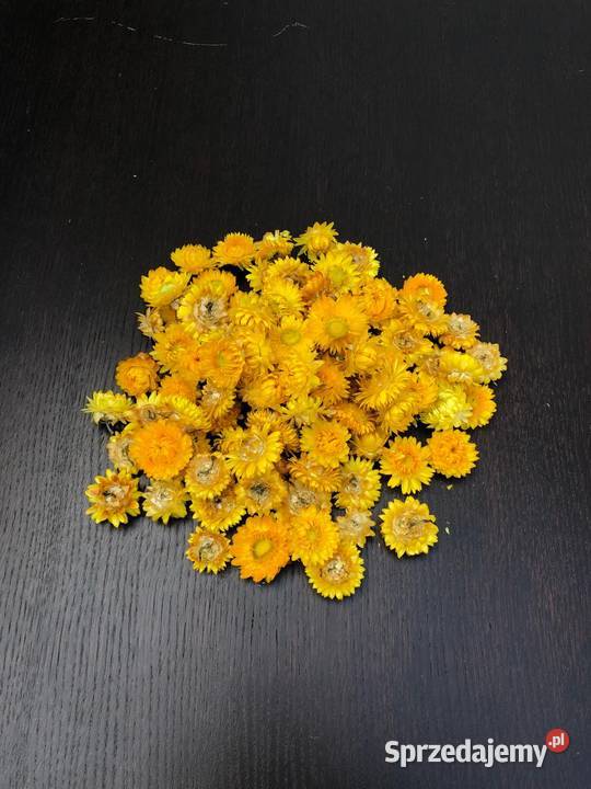 Naturalna LNICA zasuszona w pęczki zbóż